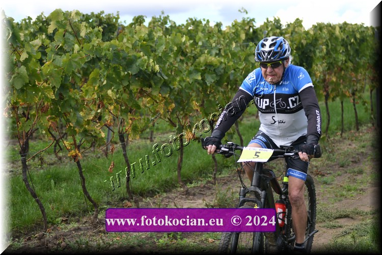 Náhled obrázku: 2024-1540-Valtice-5.JPG