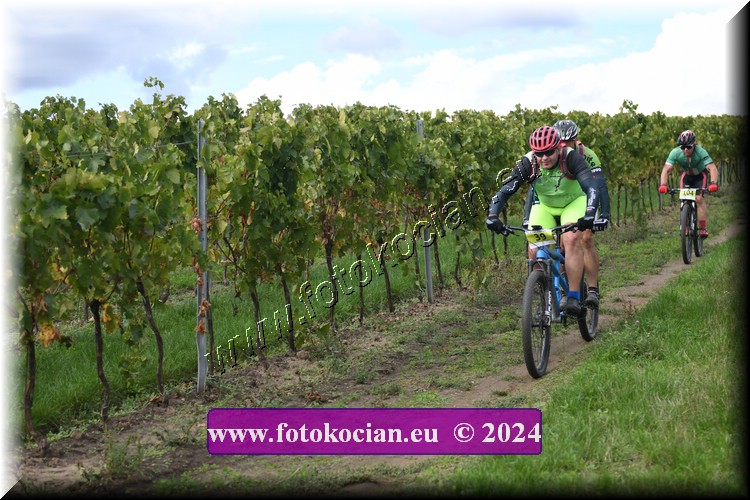 Náhled obrázku: 2024-1541-Valtice-39.JPG