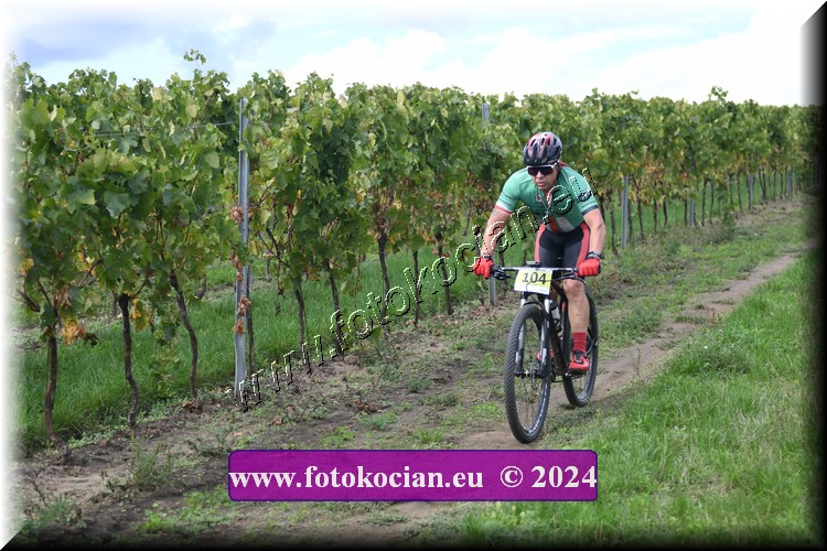 Náhled obrázku: 2024-1543-Valtice-104.JPG