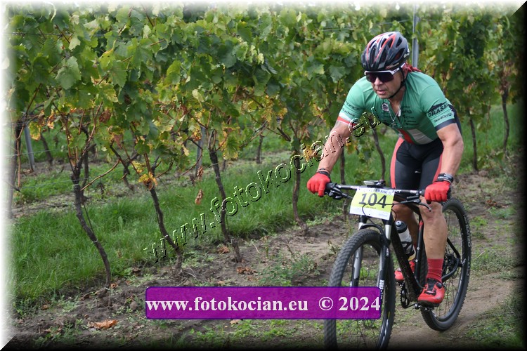 Náhled obrázku: 2024-1544-Valtice-104.JPG