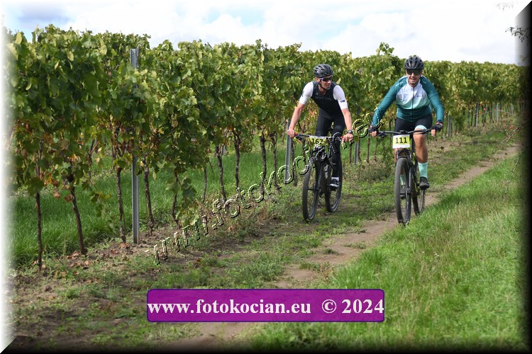 Náhled obrázku: 2024-1545-Valtice-167,111.JPG