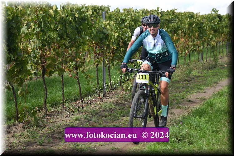 Náhled obrázku: 2024-1546-Valtice-111.JPG