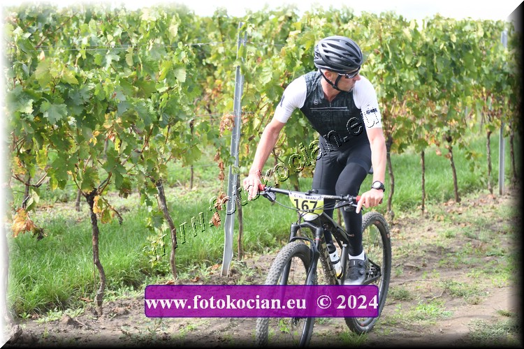 Náhled obrázku: 2024-1547-Valtice-167.JPG