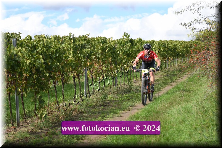 Náhled obrázku: 2024-1548-Valtice-98.JPG