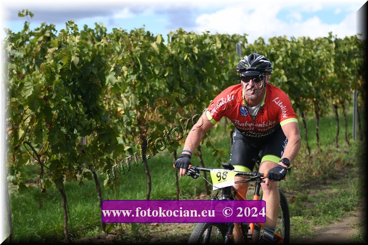 Náhled obrázku: 2024-1549-Valtice-98.JPG