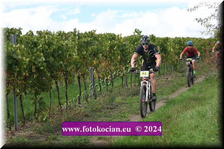 Náhled obrázku: 2024-1550-Valtice-62.JPG