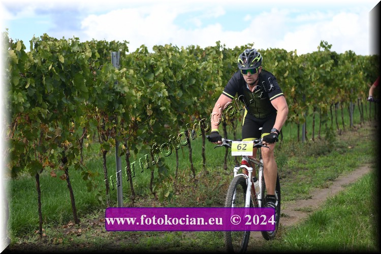 Náhled obrázku: 2024-1551-Valtice-62.JPG