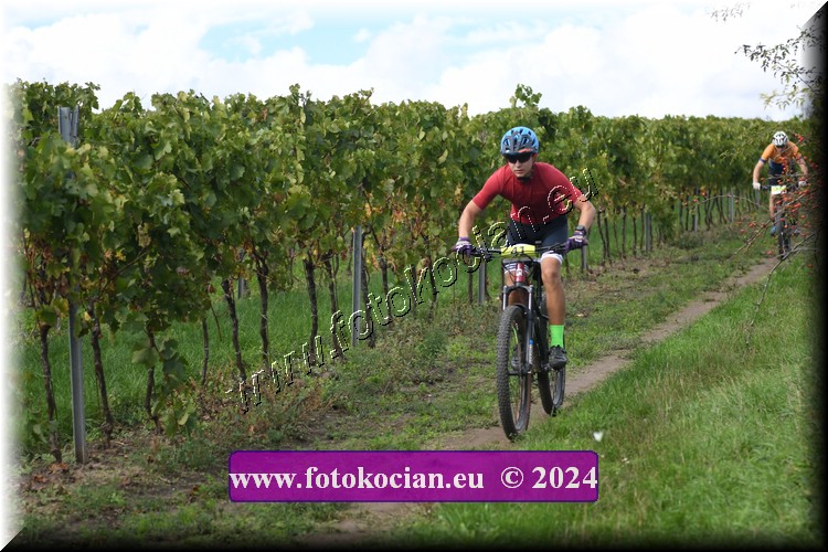 Náhled obrázku: 2024-1552-Valtice-41.JPG