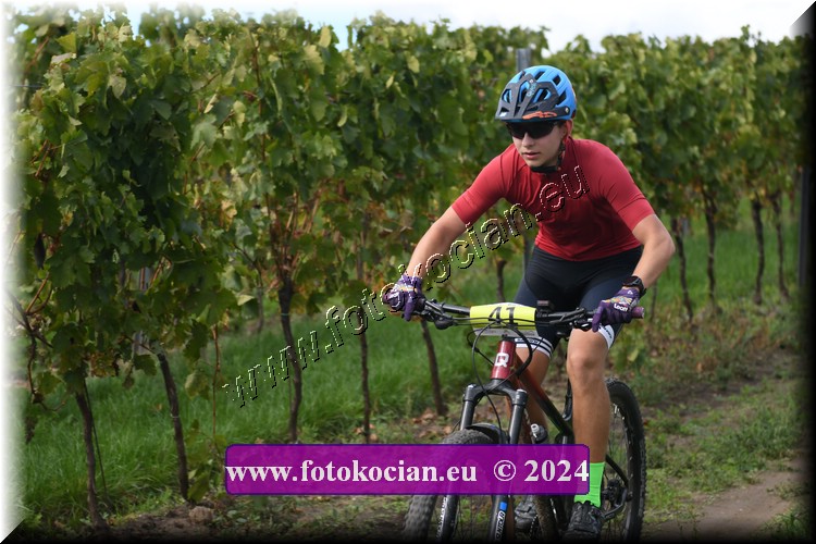 Náhled obrázku: 2024-1553-Valtice-41.JPG