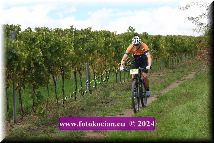 Náhled obrázku: 2024-1554-Valtice-57.JPG