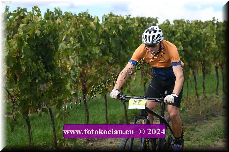 Náhled obrázku: 2024-1555-Valtice-57.JPG