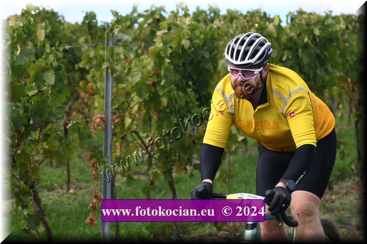 Náhled obrázku: 2024-1557-Valtice-23.JPG