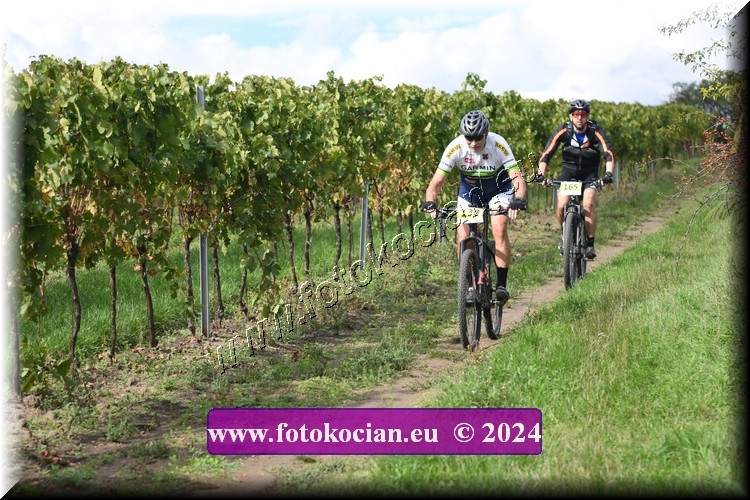 Náhled obrázku: 2024-1560-Valtice-138.JPG