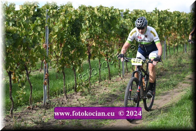 Náhled obrázku: 2024-1561-Valtice-138.JPG