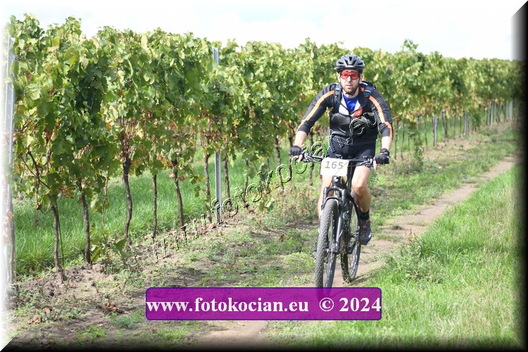 Náhled obrázku: 2024-1562-Valtice-165.JPG