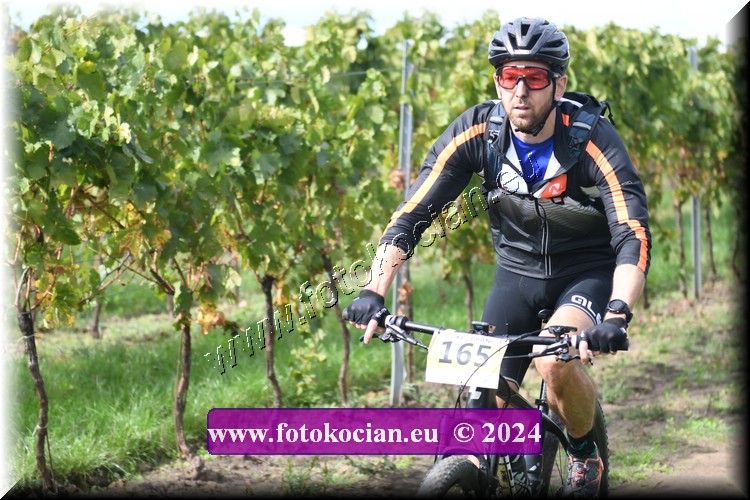 Náhled obrázku: 2024-1563-Valtice-165.JPG