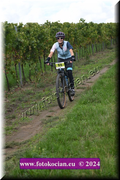 Náhled obrázku: 2024-1572-Valtice-84.JPG