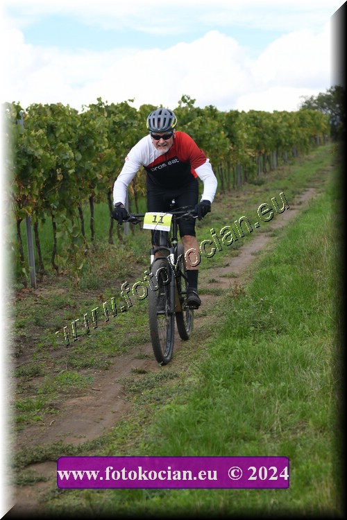 Náhled obrázku: 2024-1574-Valtice-11.JPG