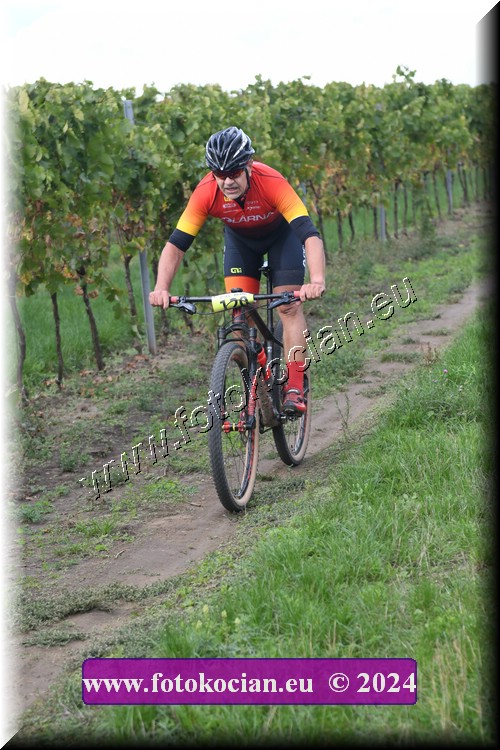 Náhled obrázku: 2024-1580-Valtice-120.JPG