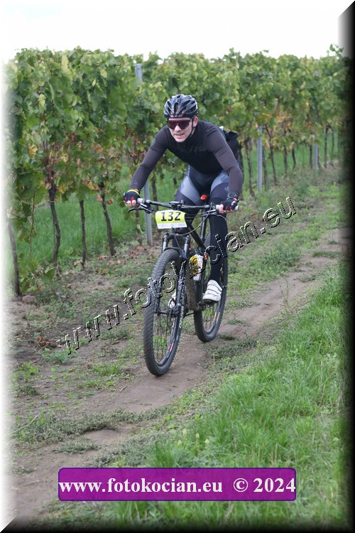 Náhled obrázku: 2024-1584-Valtice-132.JPG