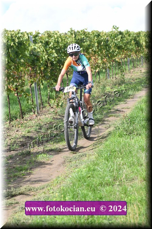 Náhled obrázku: 2024-1588-Valtice-166.JPG