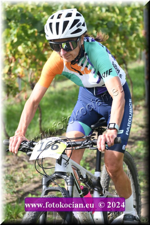 Náhled obrázku: 2024-1589-Valtice-166.JPG