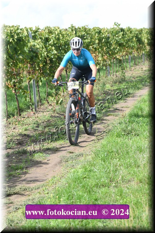 Náhled obrázku: 2024-1590-Valtice-27.JPG