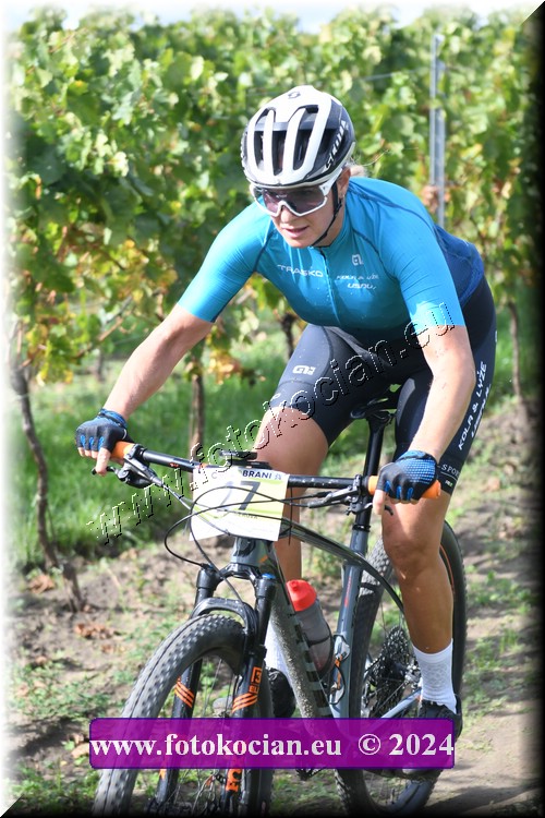 Náhled obrázku: 2024-1591-Valtice-27.JPG