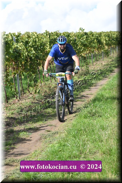 Náhled obrázku: 2024-1592-Valtice-90.JPG