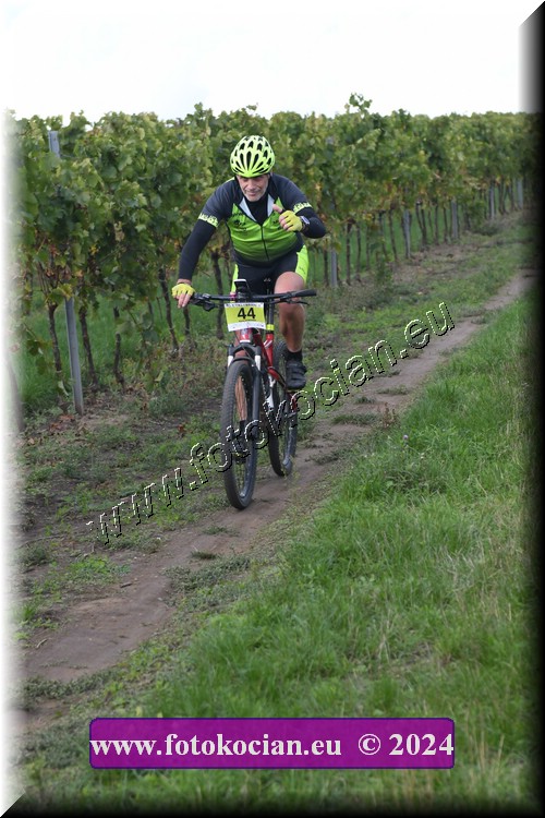 Náhled obrázku: 2024-1594-Valtice-44.JPG