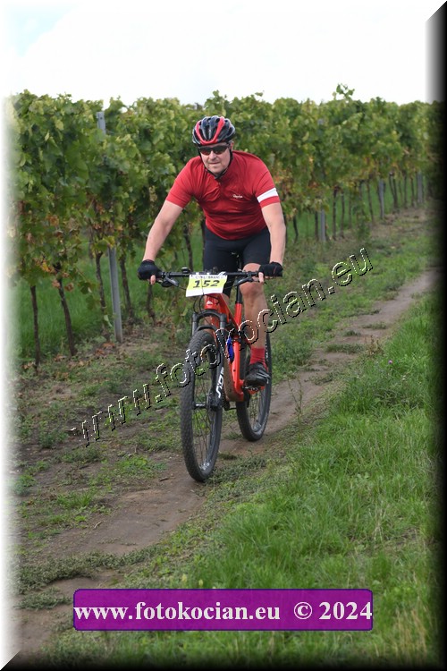 Náhled obrázku: 2024-1596-Valtice-152.JPG