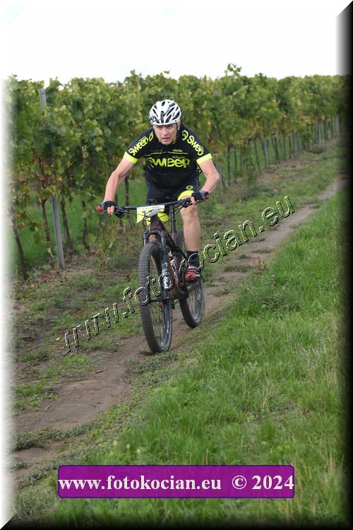 Náhled obrázku: 2024-1598-Valtice-0.JPG