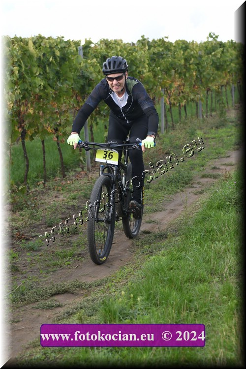 Náhled obrázku: 2024-1600-Valtice-36.JPG