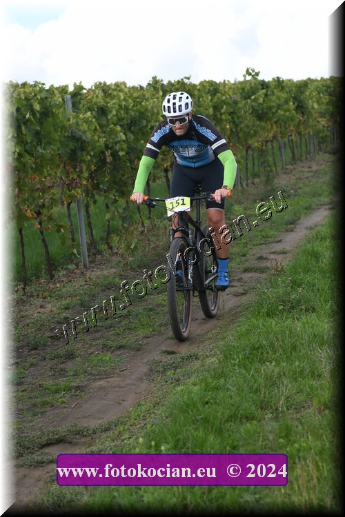 Náhled obrázku: 2024-1602-Valtice-151.JPG