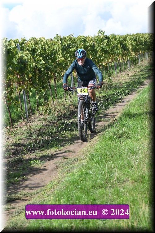 Náhled obrázku: 2024-1606-Valtice-43.JPG