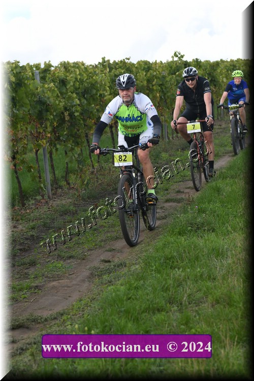 Náhled obrázku: 2024-1610-Valtice-82.JPG