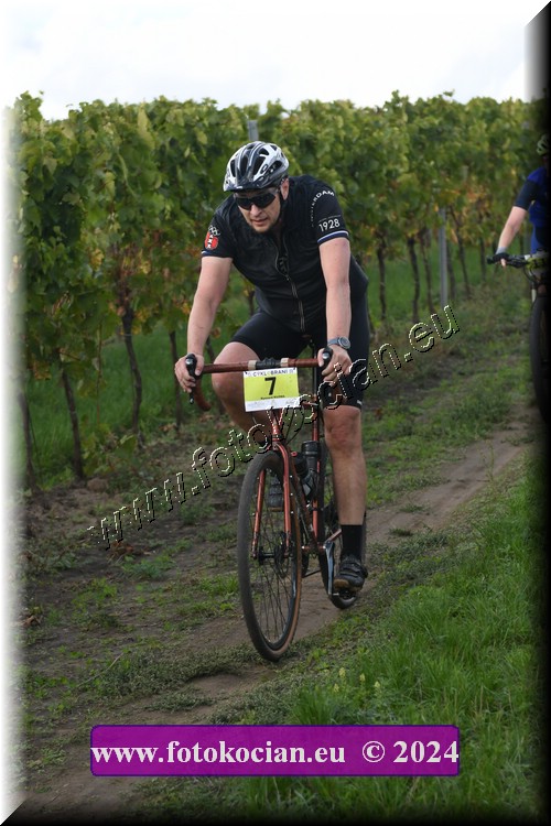 Náhled obrázku: 2024-1612-Valtice-7.JPG