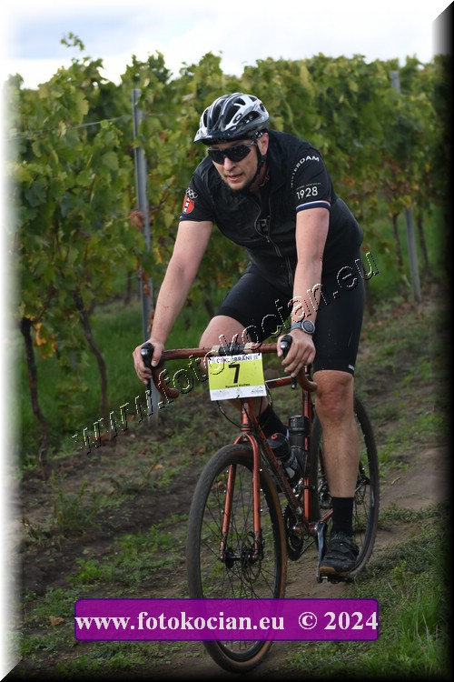 Náhled obrázku: 2024-1613-Valtice-7.JPG