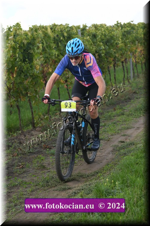 Náhled obrázku: 2024-1616-Valtice-93.JPG