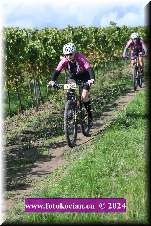 Náhled obrázku: 2024-1618-Valtice-128.JPG