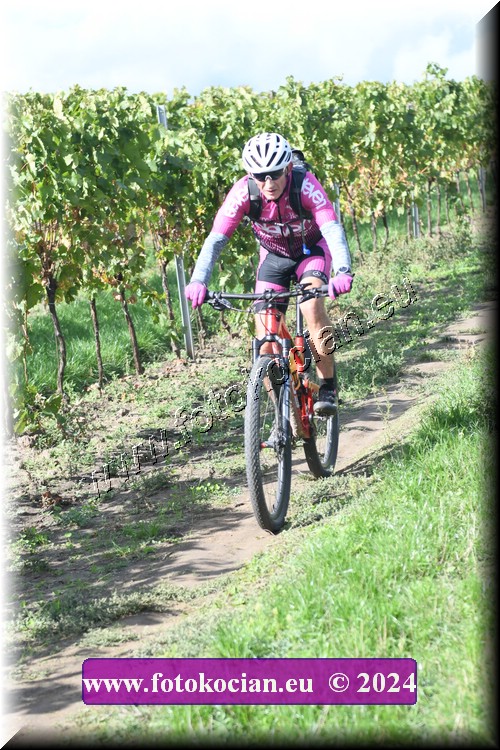 Náhled obrázku: 2024-1620-Valtice-0.JPG