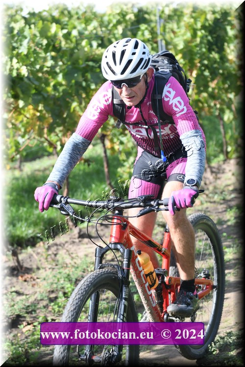 Náhled obrázku: 2024-1621-Valtice-0.JPG