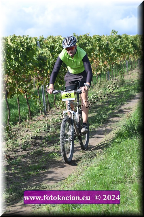 Náhled obrázku: 2024-1622-Valtice-48.JPG