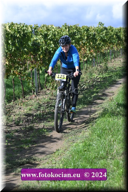 Náhled obrázku: 2024-1626-Valtice-125.JPG