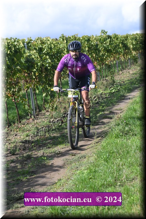 Náhled obrázku: 2024-1628-Valtice-74.JPG