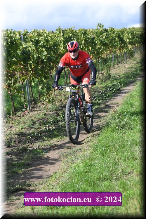 Náhled obrázku: 2024-1630-Valtice-105.JPG