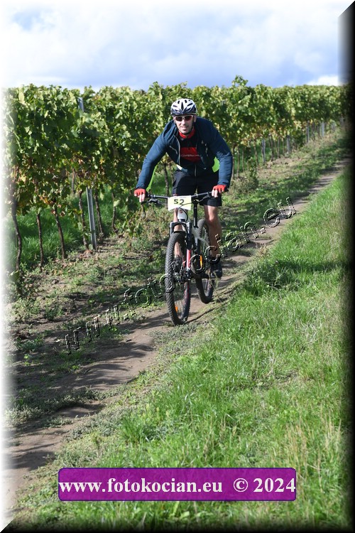 Náhled obrázku: 2024-1634-Valtice-52.JPG