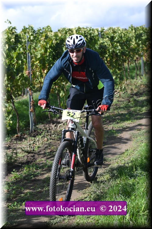 Náhled obrázku: 2024-1635-Valtice-52.JPG