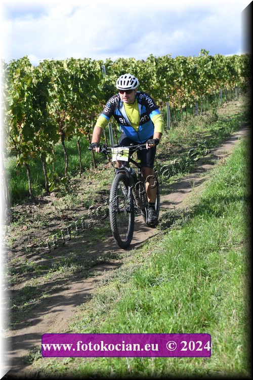 Náhled obrázku: 2024-1637-Valtice-14.JPG