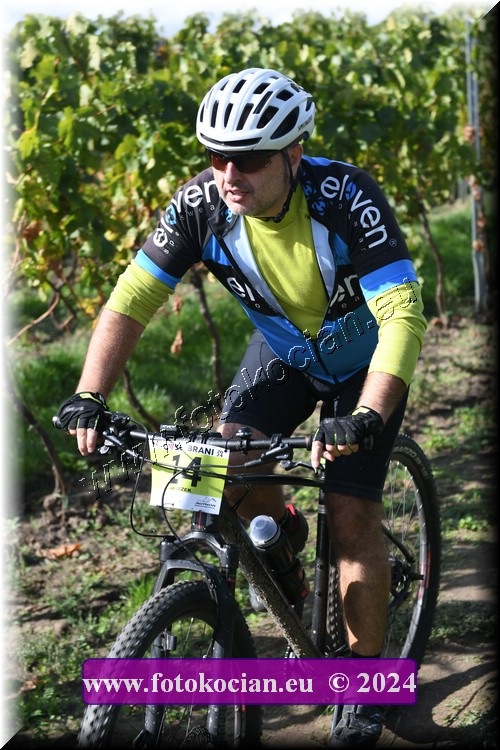 Náhled obrázku: 2024-1638-Valtice-14.JPG